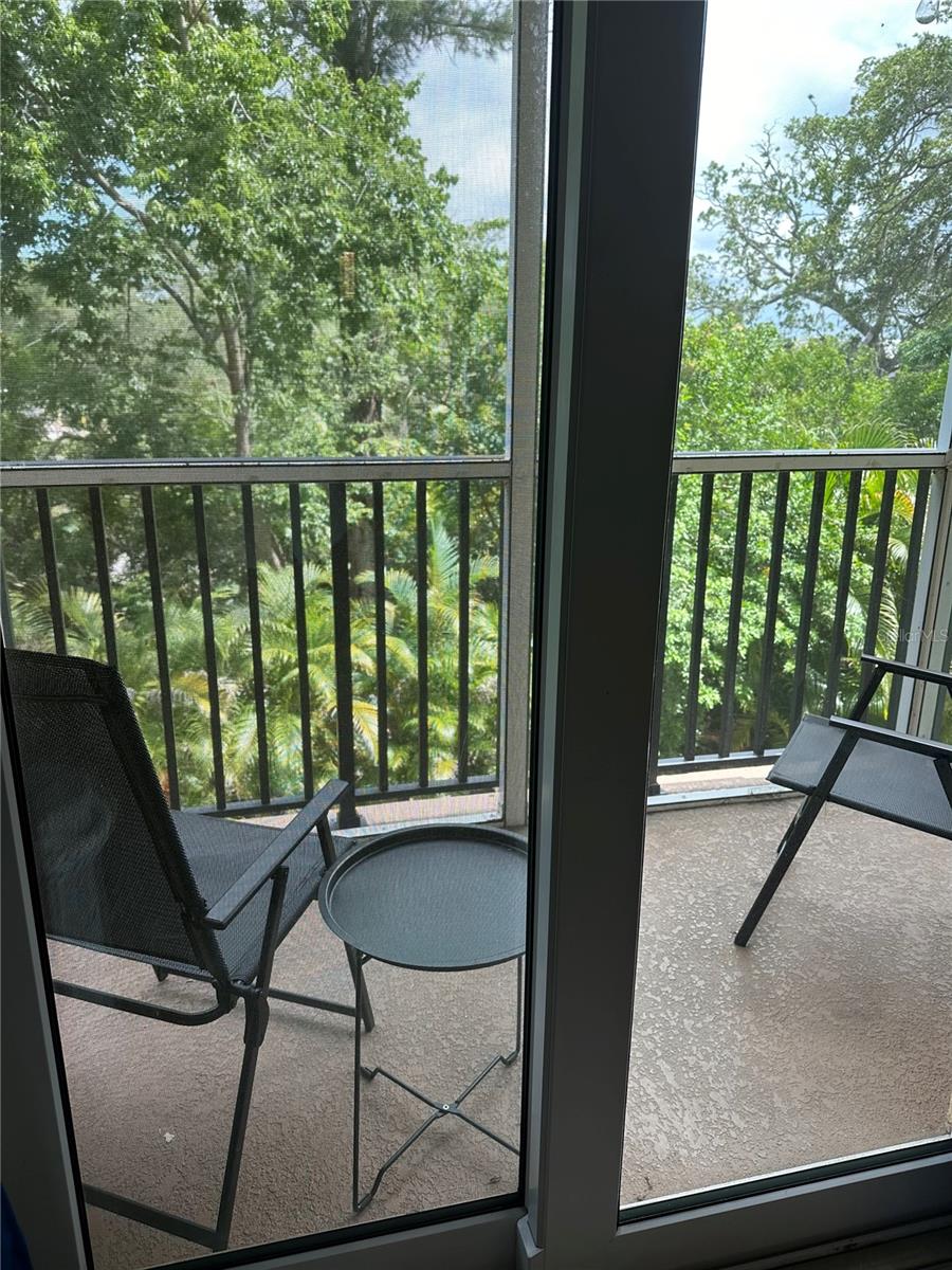 5111 ROYAL PALMS WAY #202 — photo 13