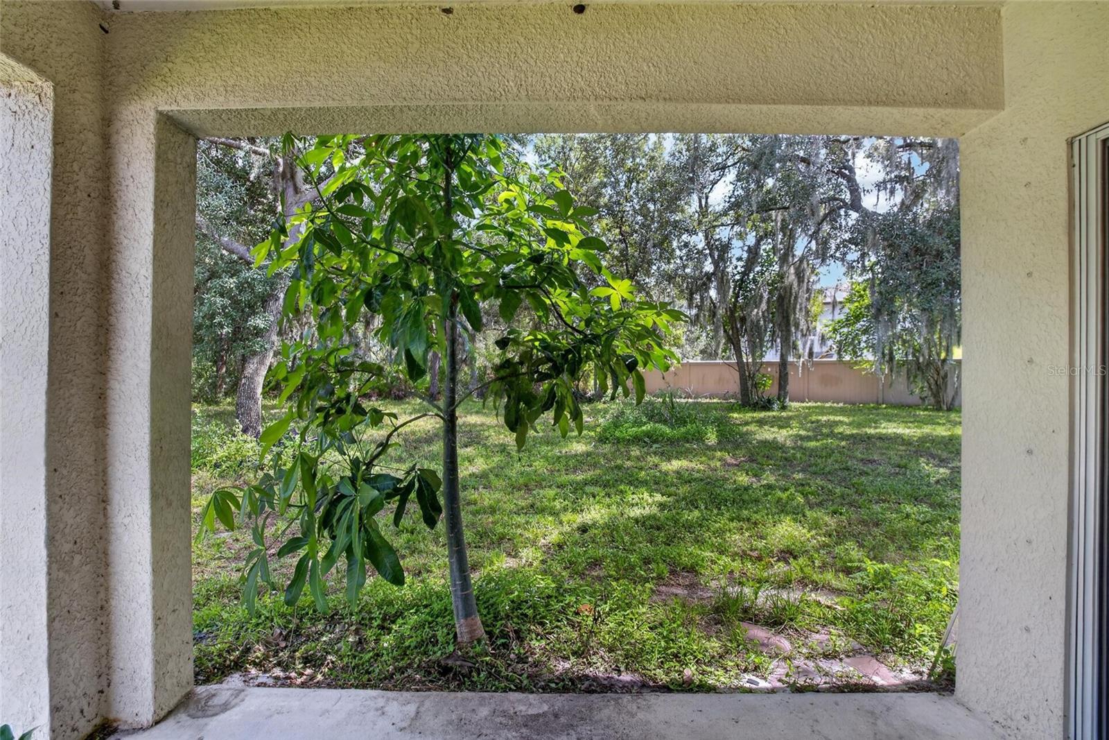 16441 TREASURE POINT DR — photo 43