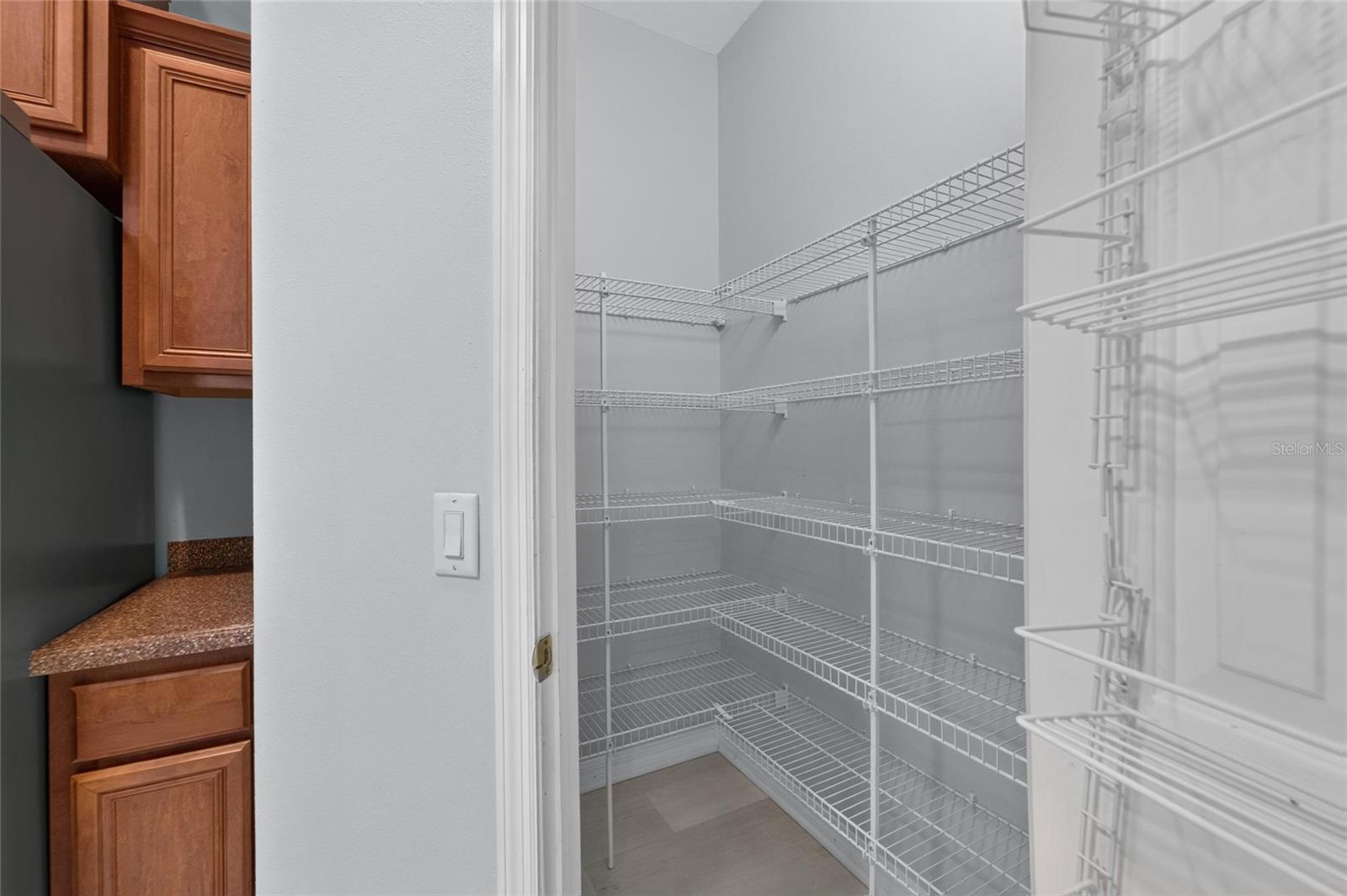 1113 SAVANNAH LANDINGS AVE — photo 44