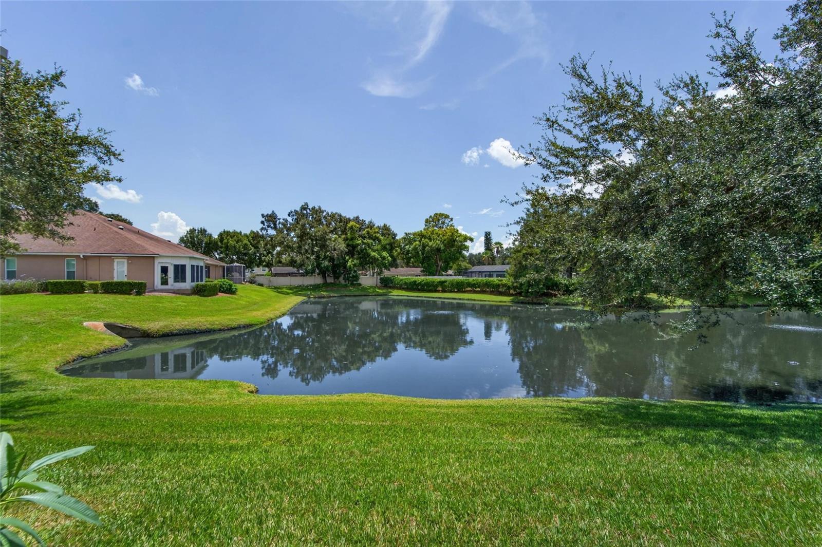 1113 SAVANNAH LANDINGS AVE — photo 15