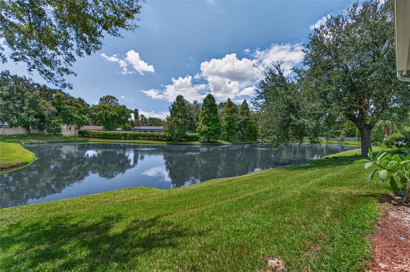1113 SAVANNAH LANDINGS AVE — photo 20