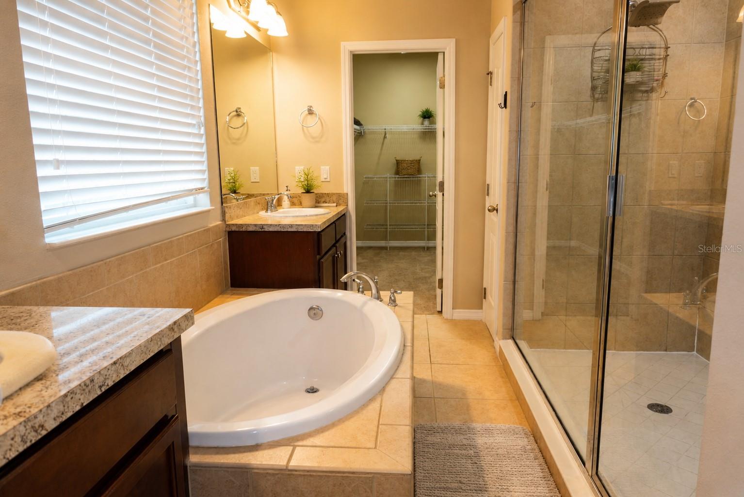 11543 TANGLE BRANCH LN — photo 3