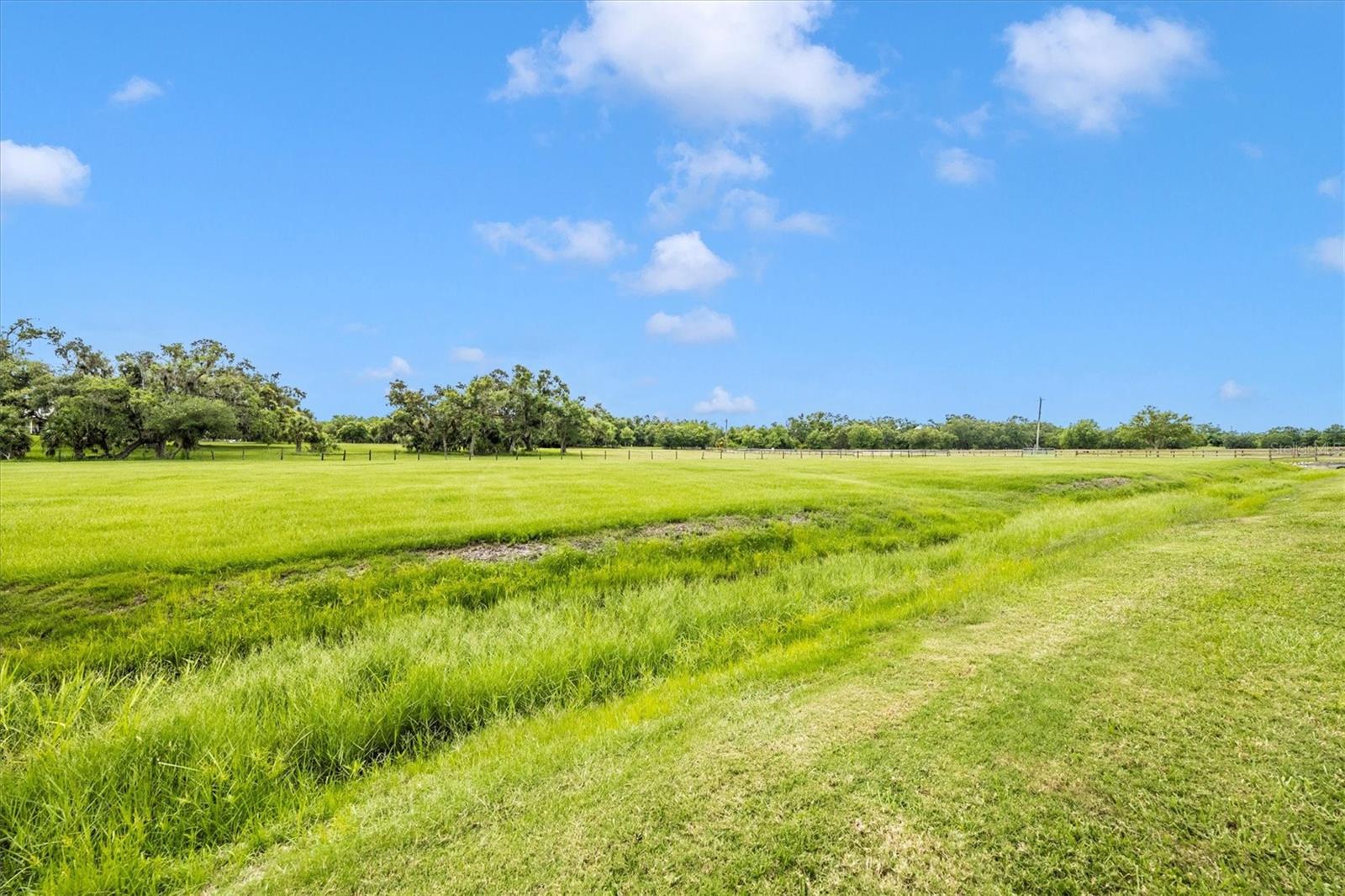 1901 JOSHUA DR — photo 54