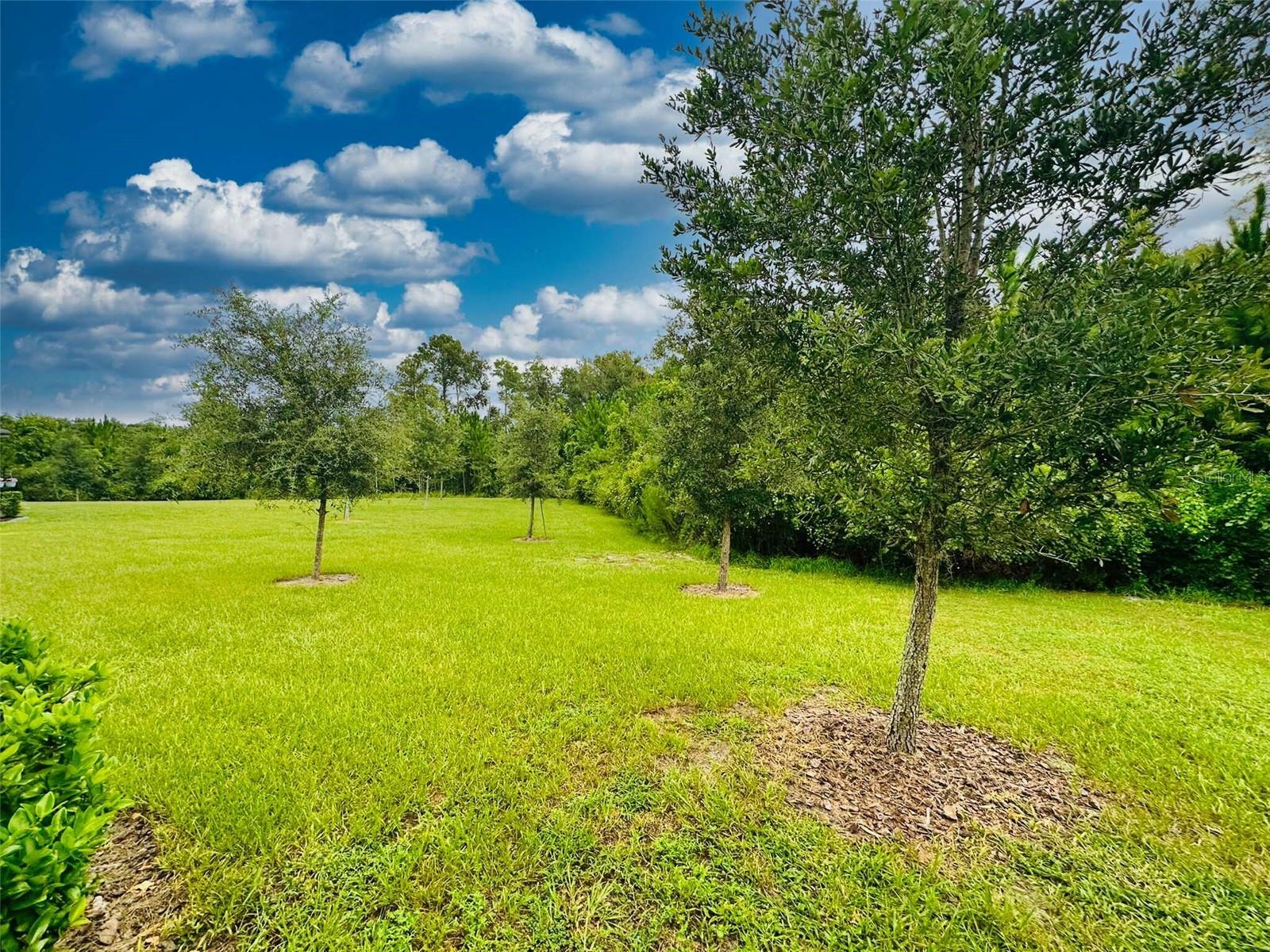 16660 SHELL BAY DR — photo 57