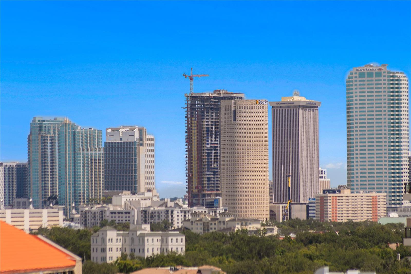 2413 BAYSHORE BLVD #1605 — photo 27