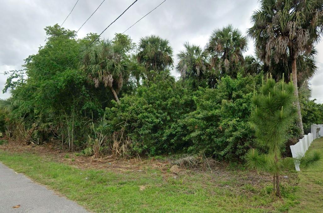 CALADIUM RD — photo 2