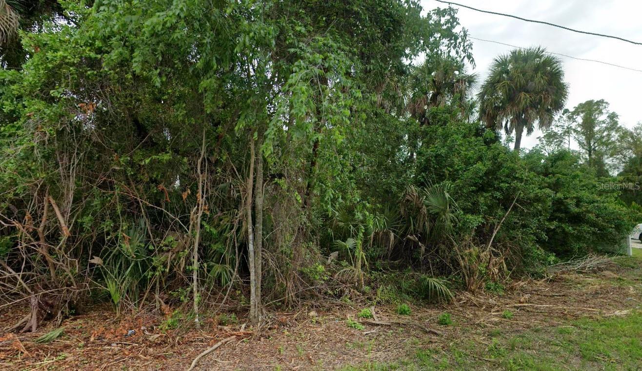 CALADIUM RD — photo 3