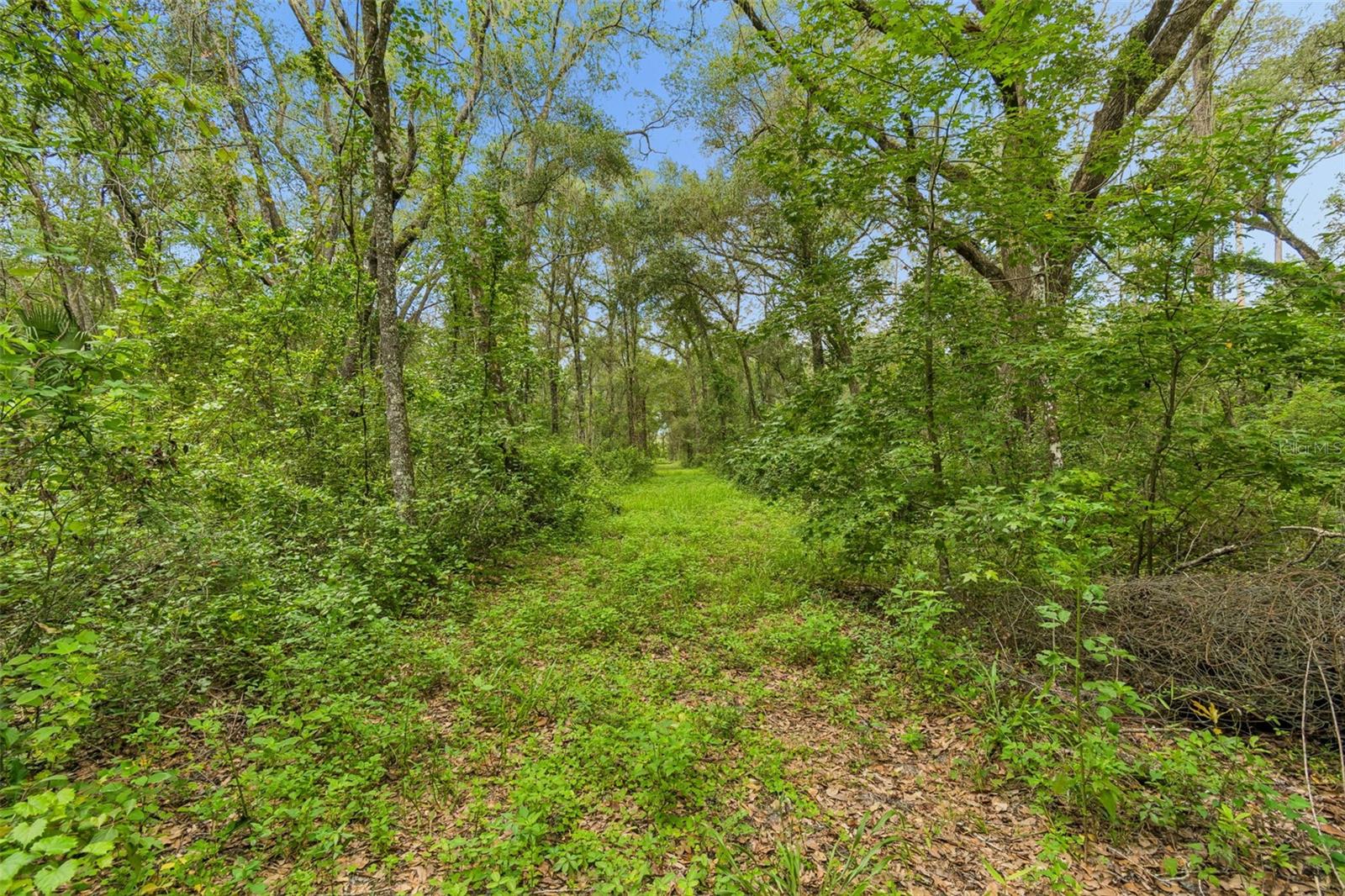 21835 VALHALLA WAY — photo 13