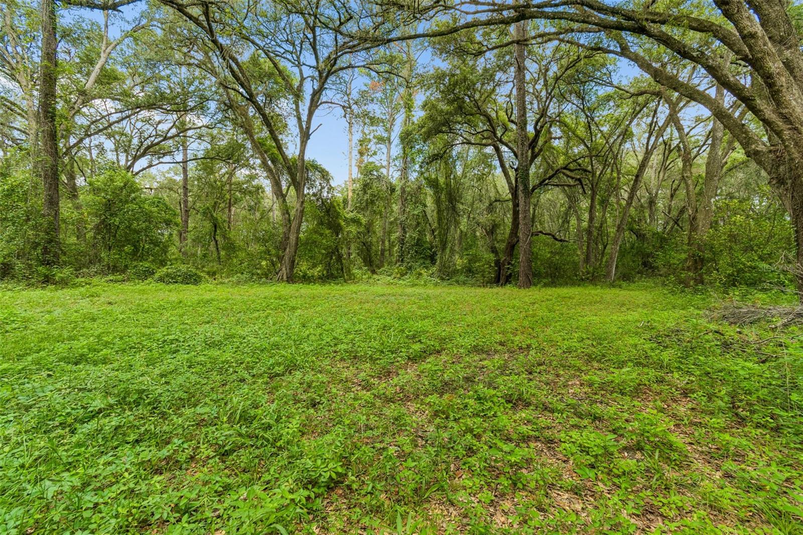 21835 VALHALLA WAY — photo 3