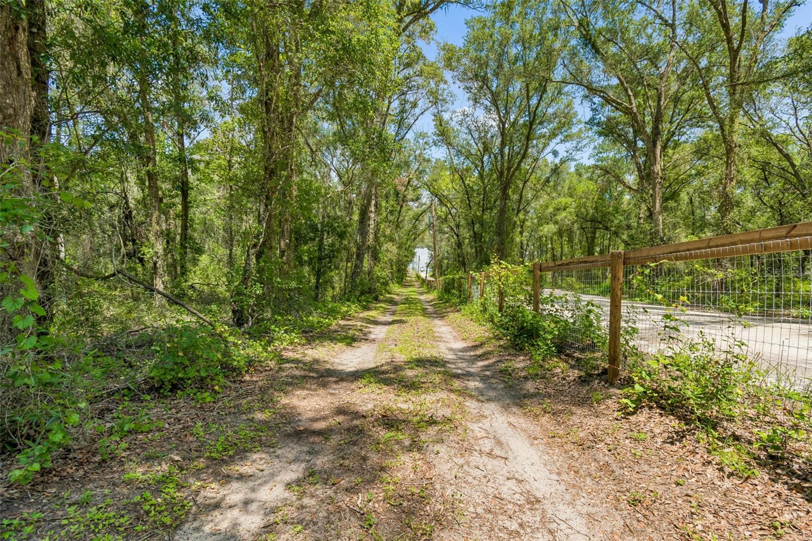 21835 VALHALLA WAY — photo 16