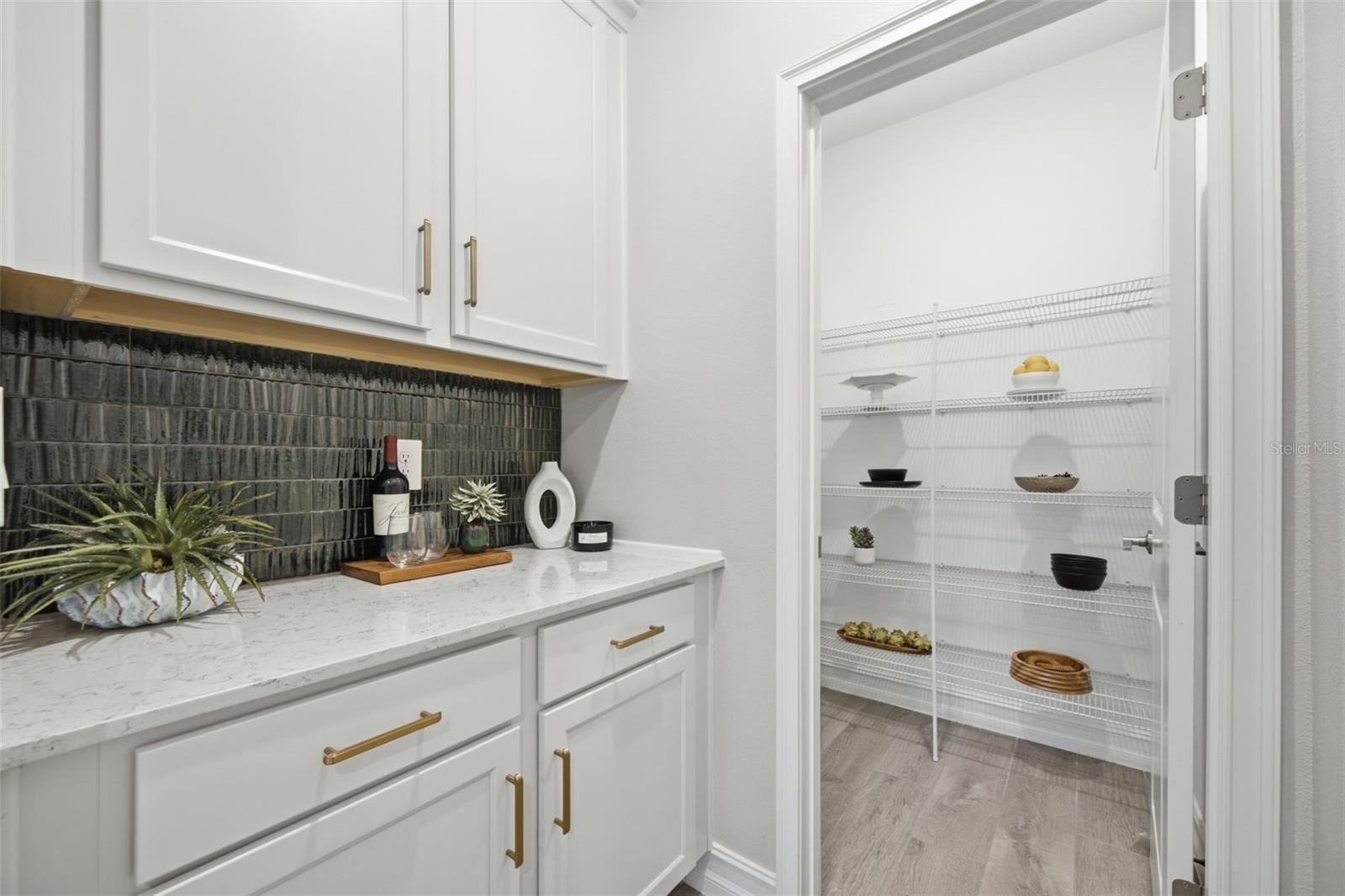 18330 SERENE LAKE LOOP — photo 11