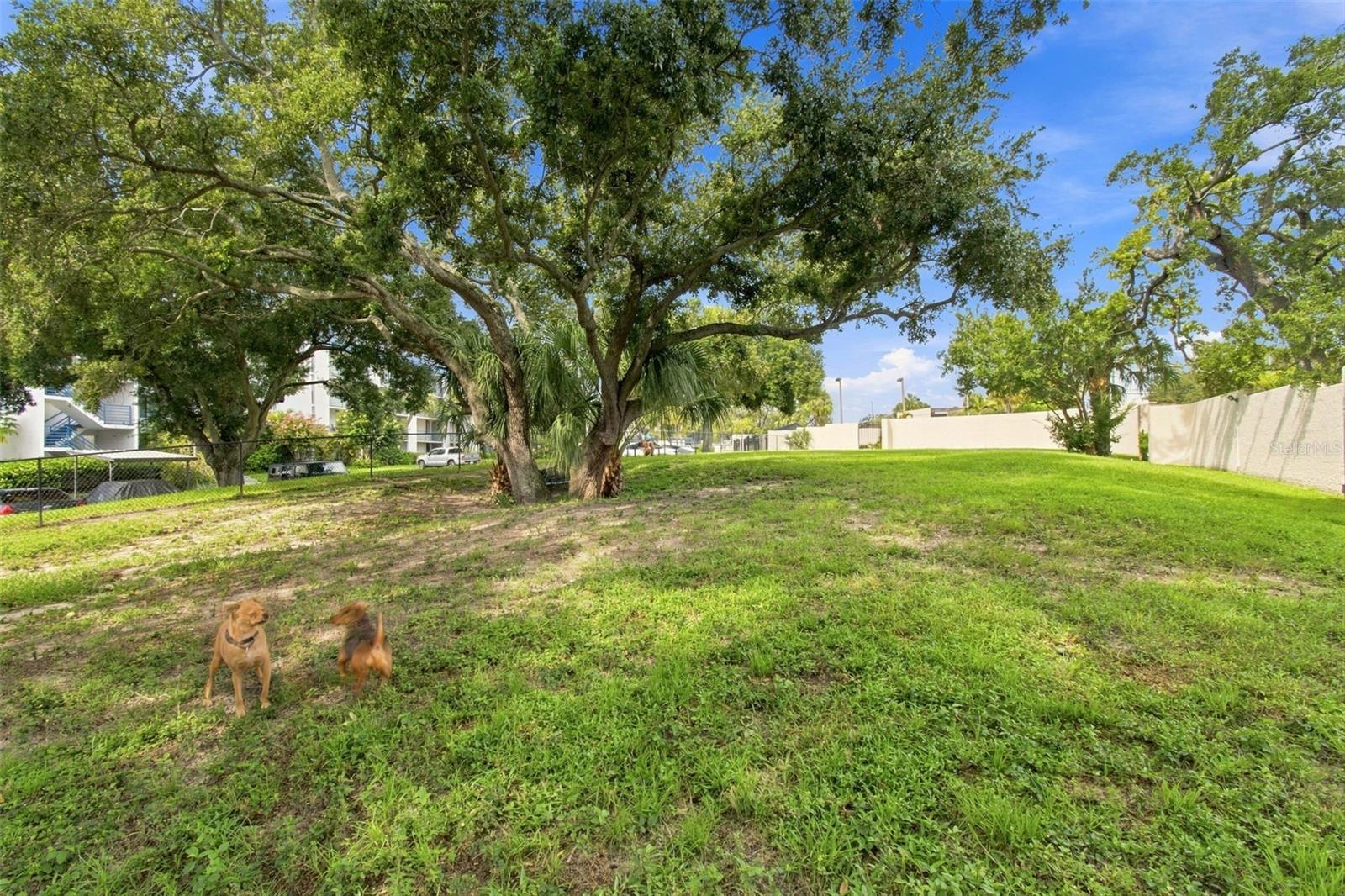 2424 W TAMPA BAY BLVD #L404 — photo 52