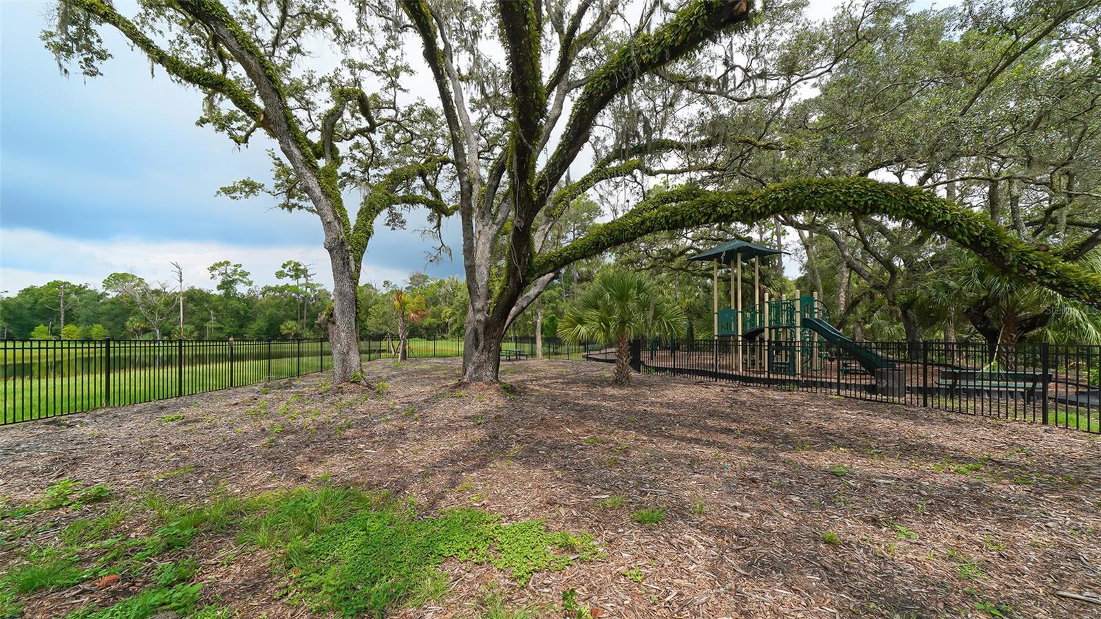 2627 MIDNIGHT PEARL DR — photo 58