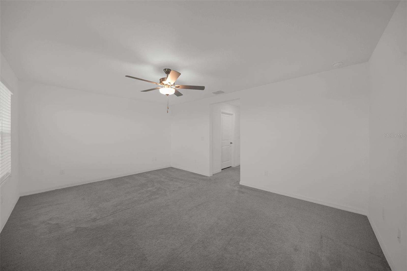 32201 POWDERPUFF MIMOSA DR — photo 27