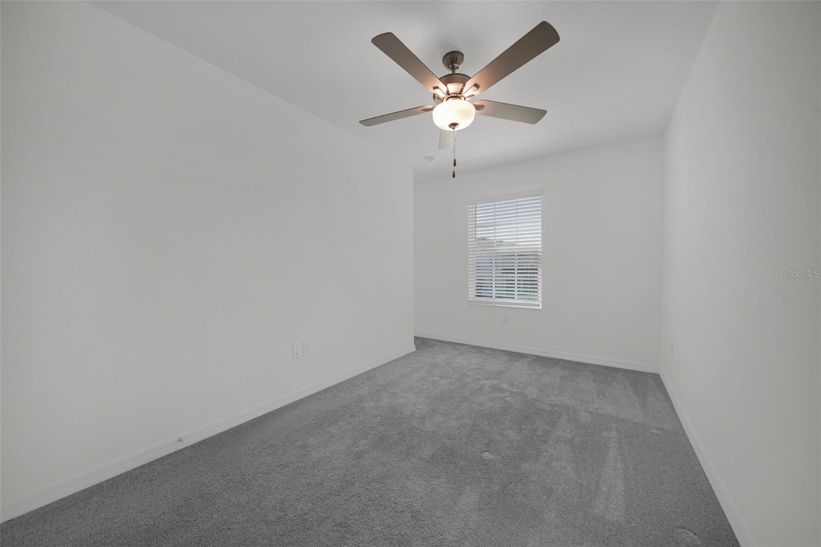 32201 POWDERPUFF MIMOSA DR — photo 16