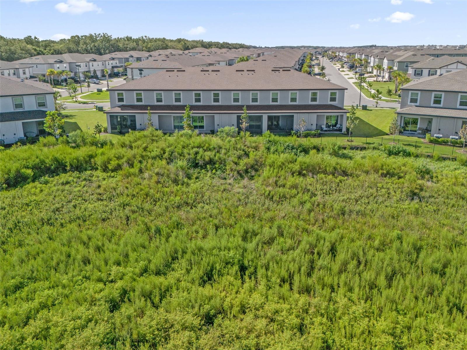 32201 POWDERPUFF MIMOSA DR — photo 40