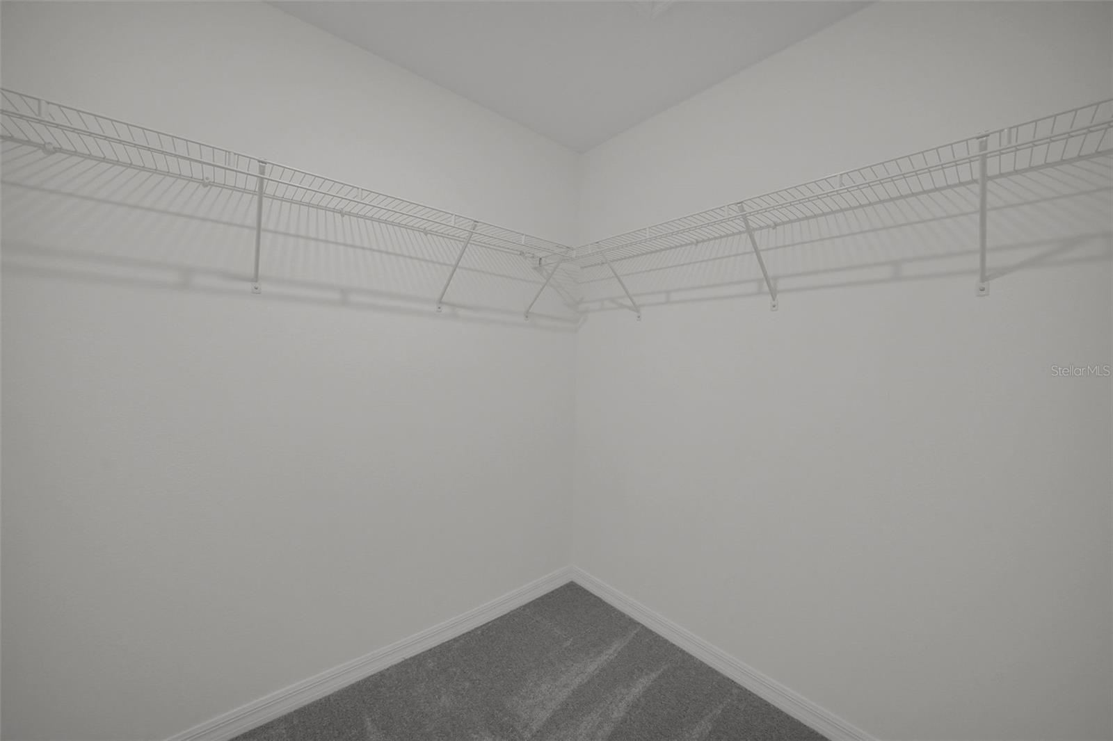 32201 POWDERPUFF MIMOSA DR — photo 25