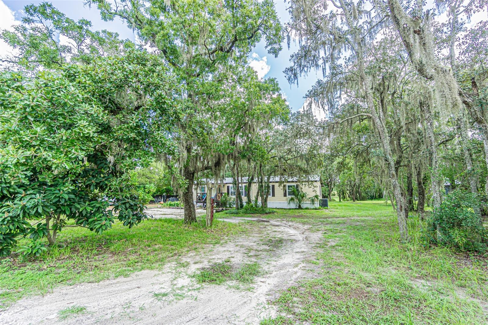 11420 ENGLISH WALNUT ST — photo 3