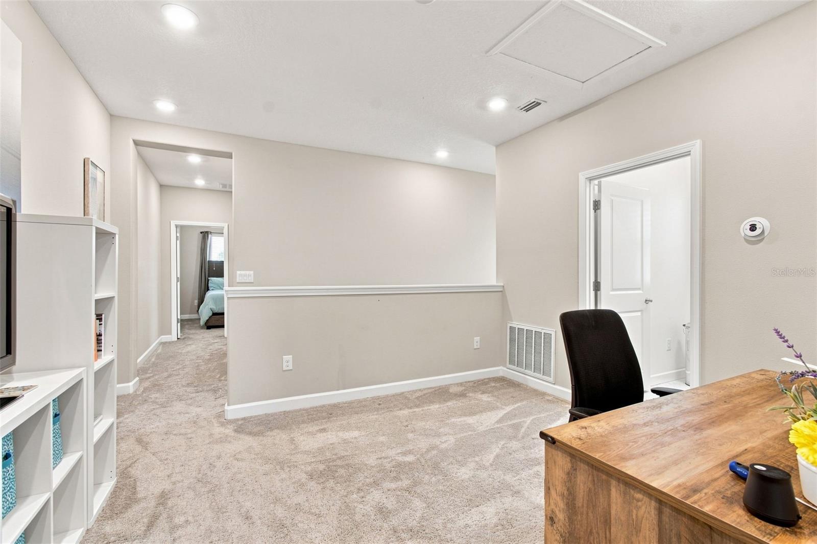 3207 PAINTED BLOSSOM CT — photo 39