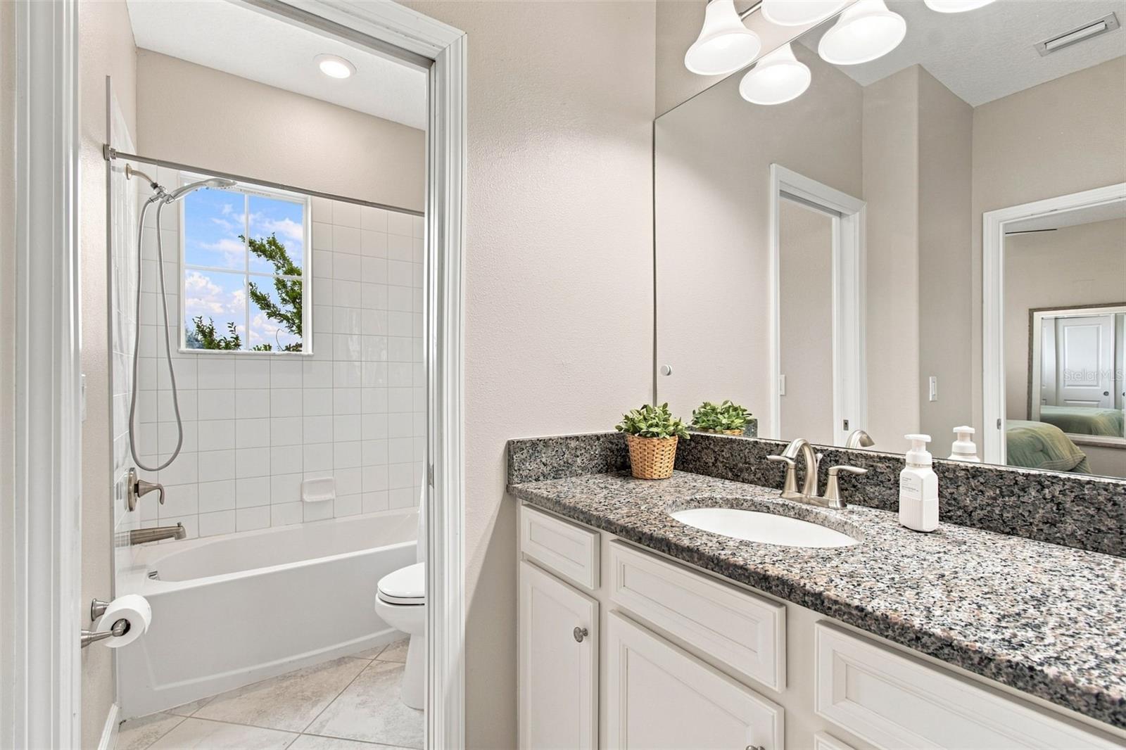 3207 PAINTED BLOSSOM CT — photo 53