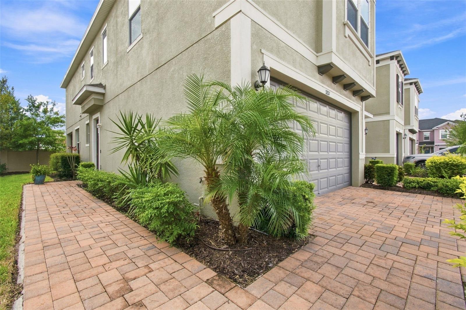 3207 PAINTED BLOSSOM CT — photo 3