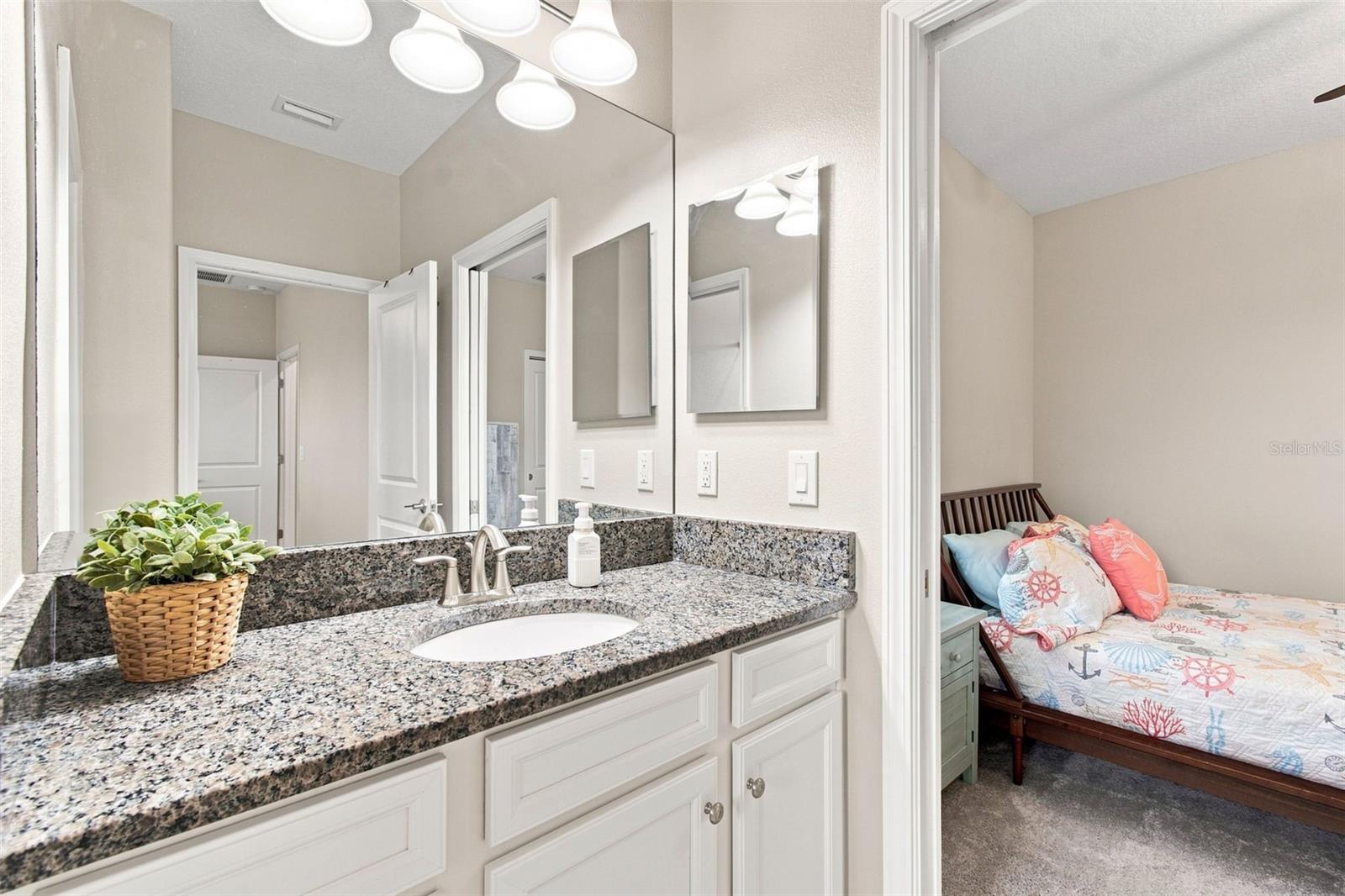 3207 PAINTED BLOSSOM CT — photo 54