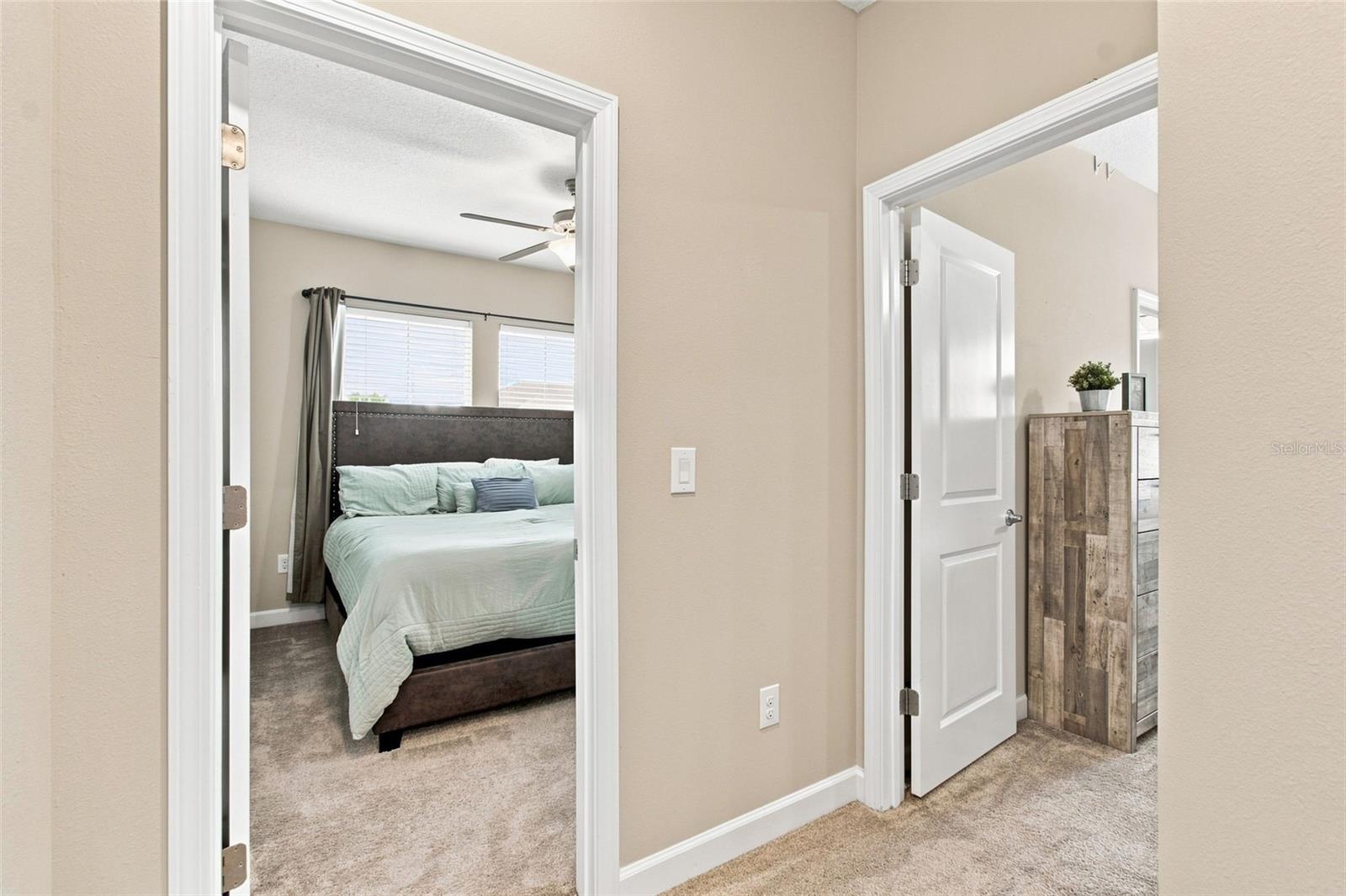 3207 PAINTED BLOSSOM CT — photo 50