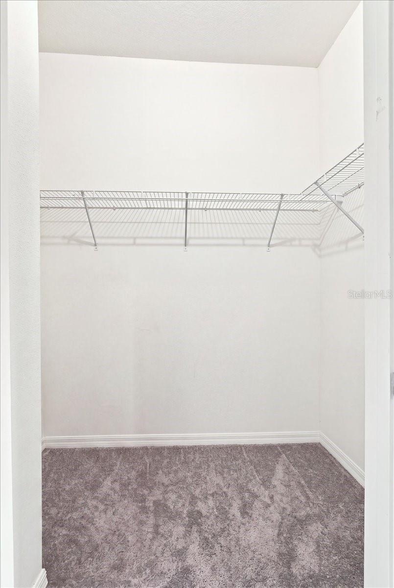 3804 N MARYLAND AVE — photo 37