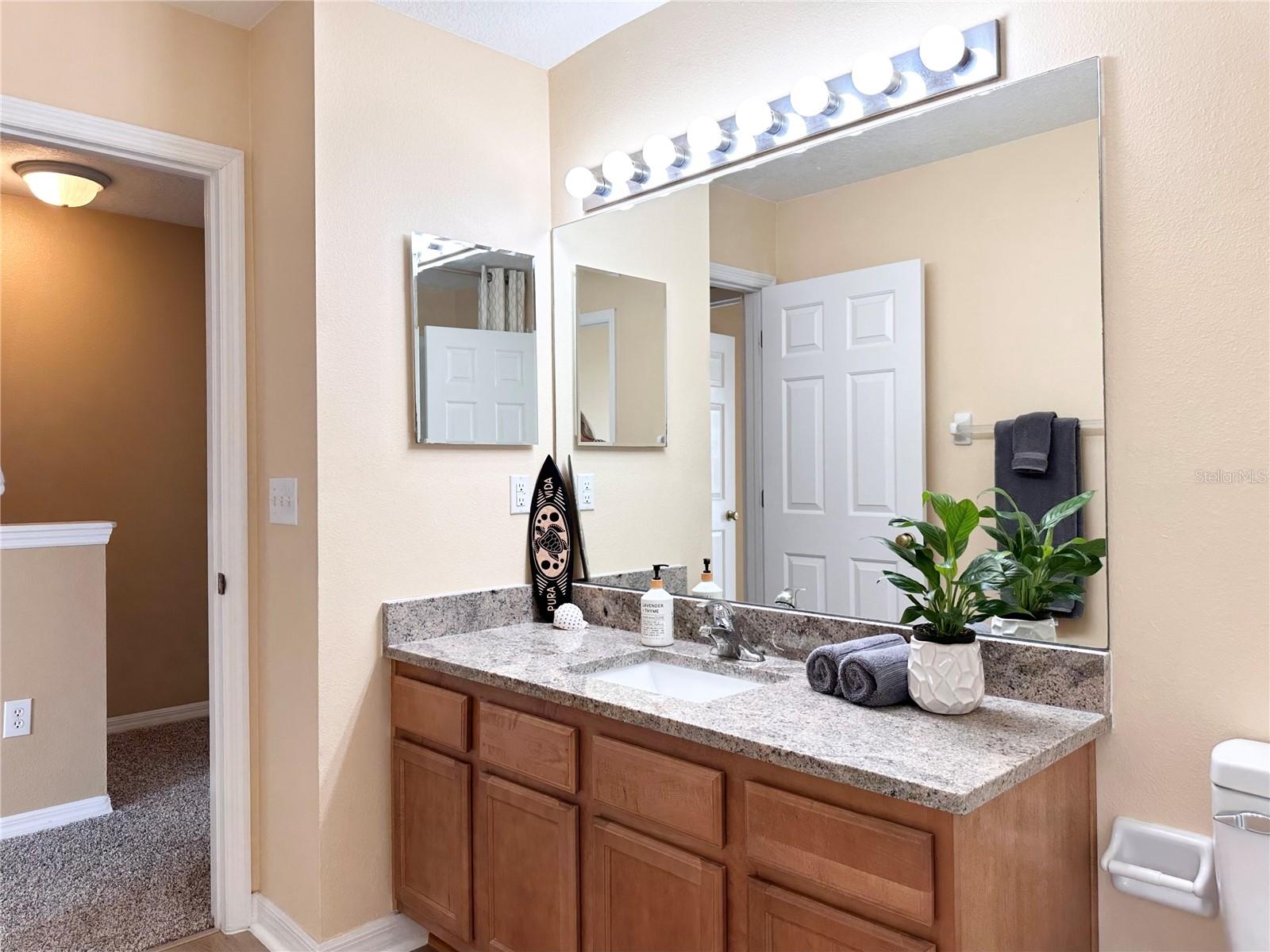 12276 COUNTRY WHITE CIR — photo 11