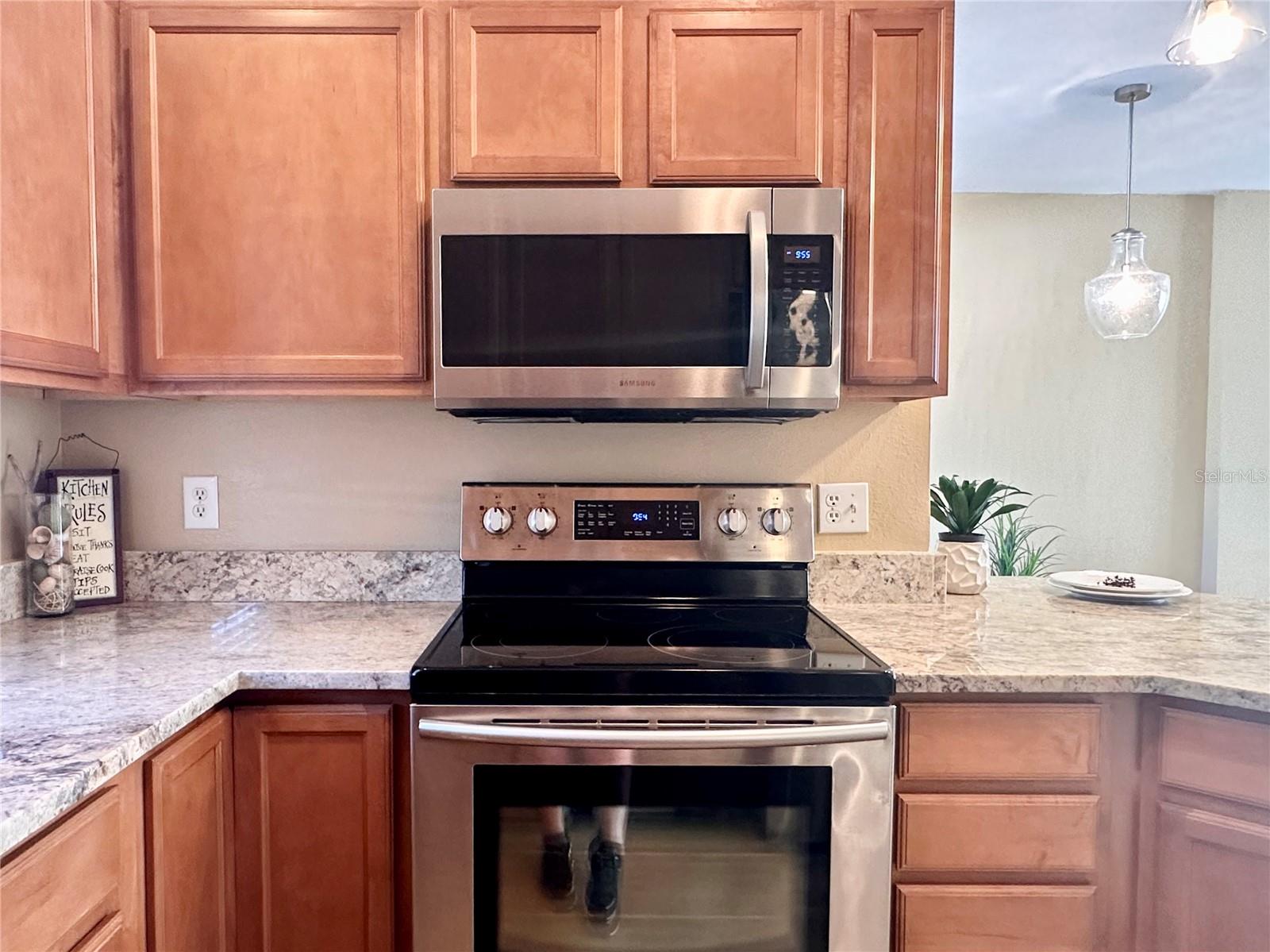 12276 COUNTRY WHITE CIR — photo 3