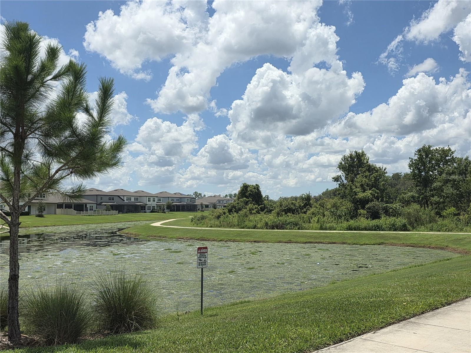 20865 DRAKE ELM DR — photo 47