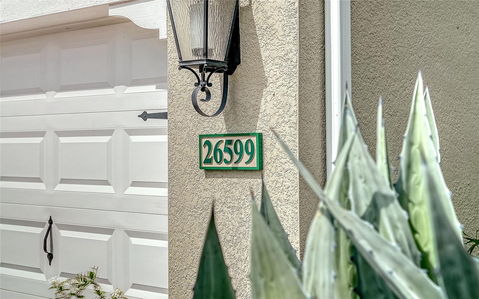 26599 RAPHIS ROYALE BLVD — photo 5