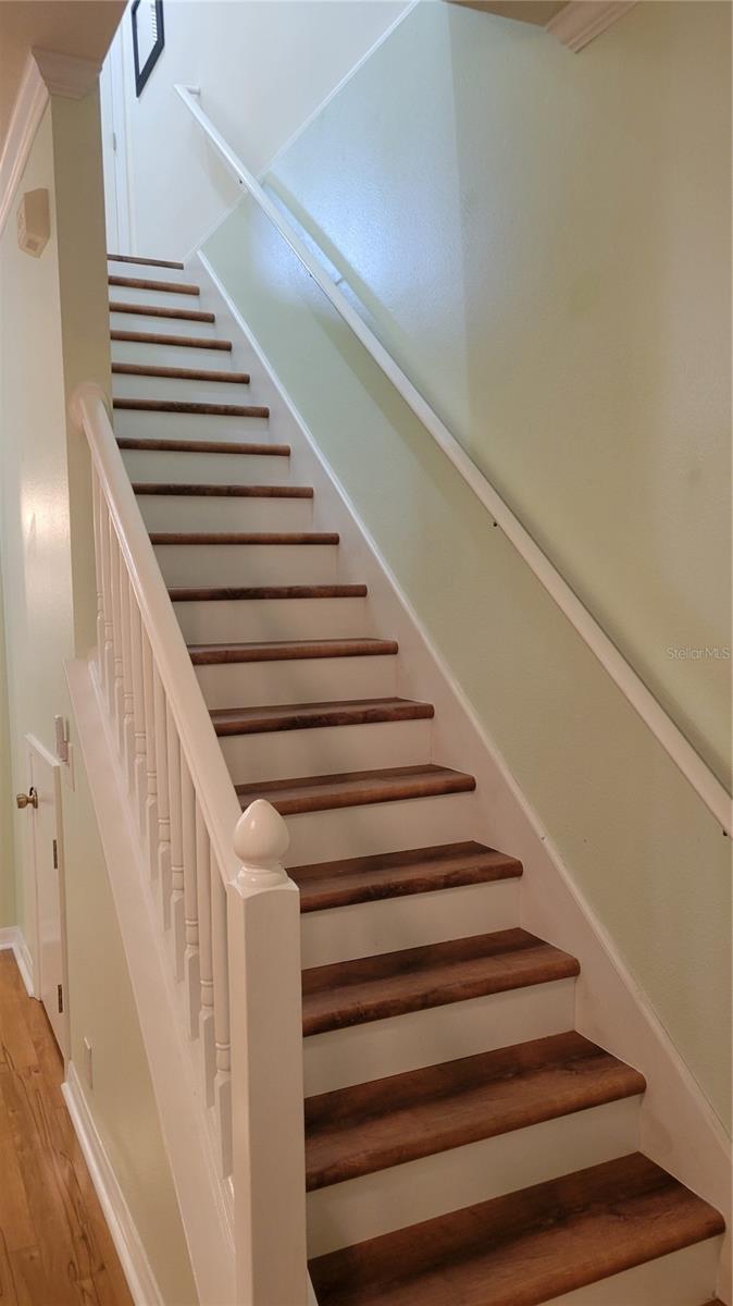 2511 NEWBERN DR — photo 23