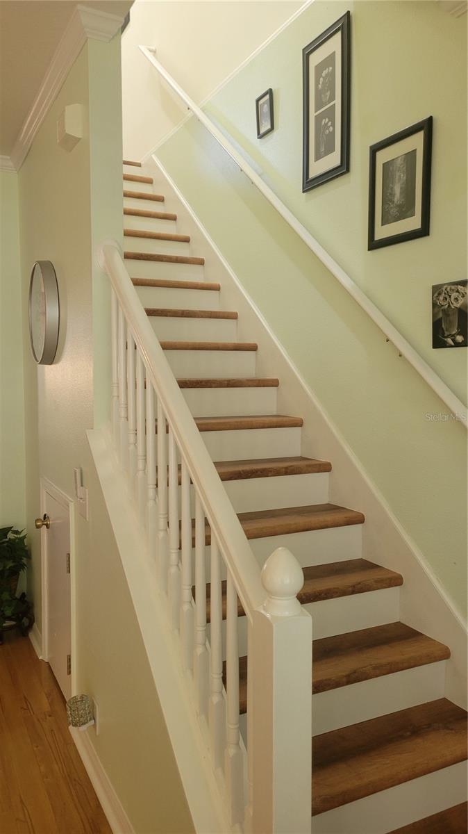 2511 NEWBERN DR — photo 22