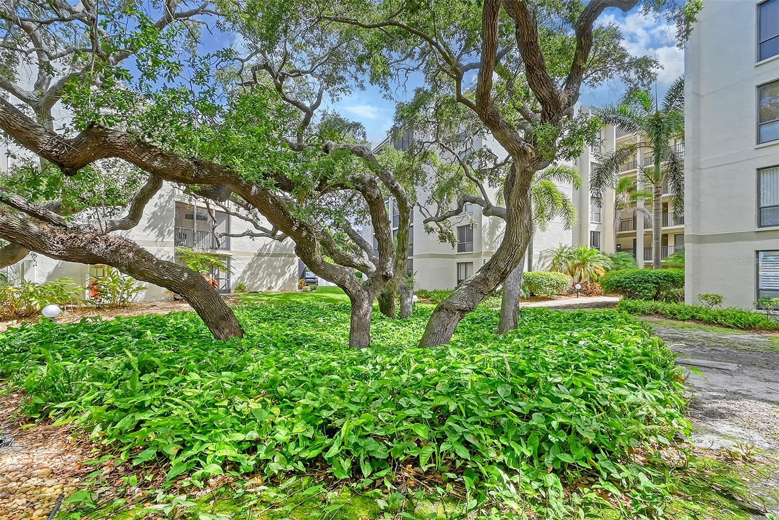 6157 MIDNIGHT PASS RD #G11 — photo 9