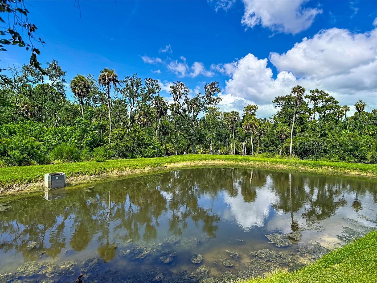 5364 RIVERWALK PRESERVE DR — photo 69