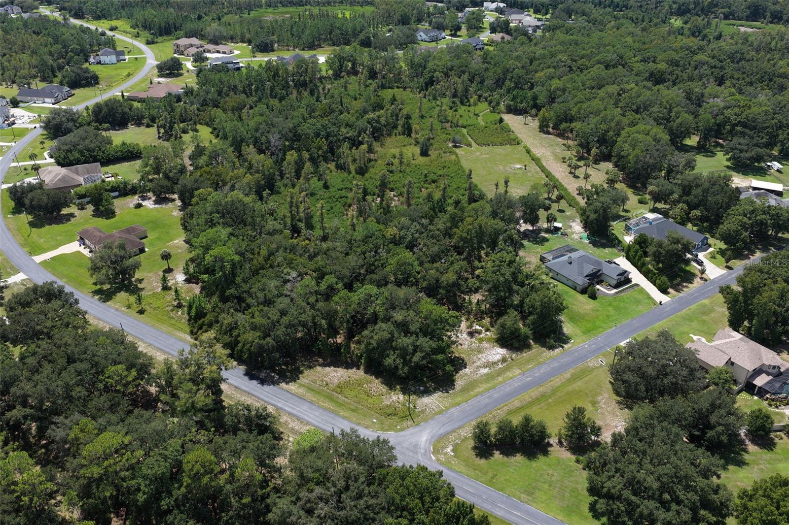 8541 WOODLEAF BLVD — photo 9
