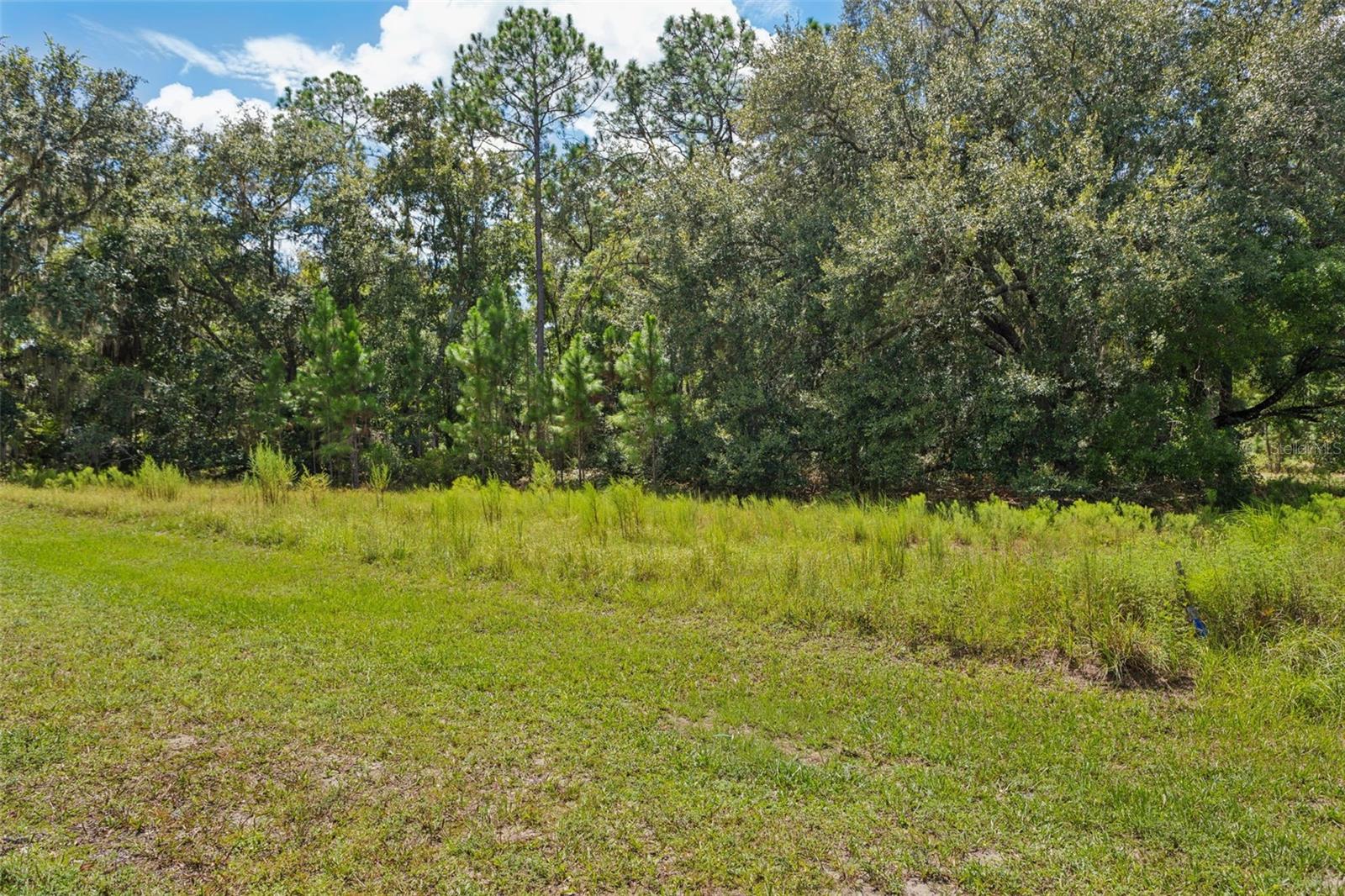 8541 WOODLEAF BLVD — photo 13