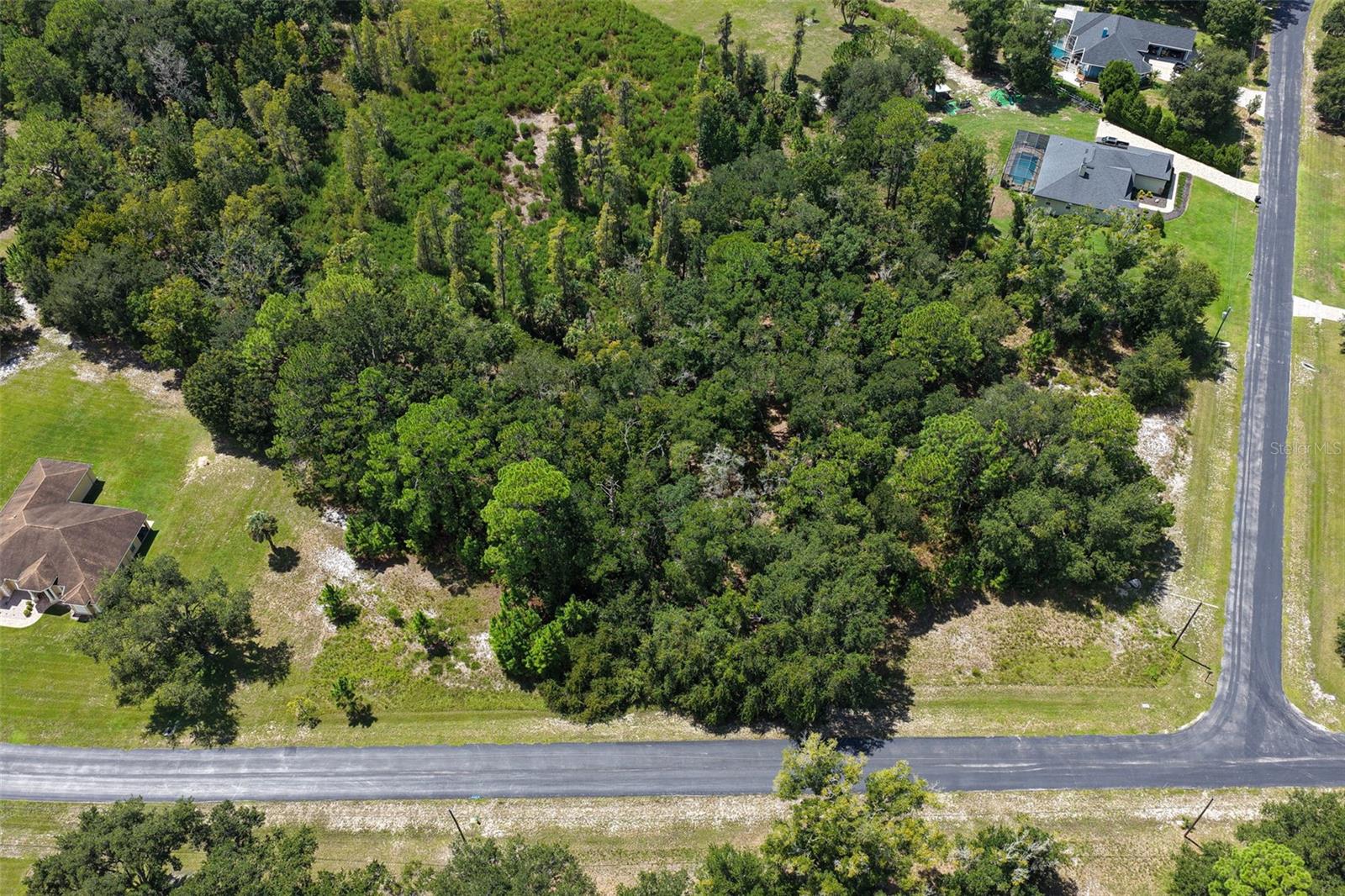 8541 WOODLEAF BLVD — photo 5