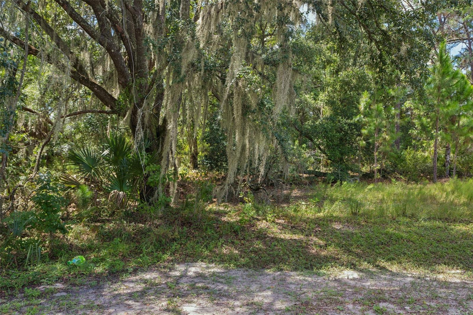 8541 WOODLEAF BLVD — photo 16