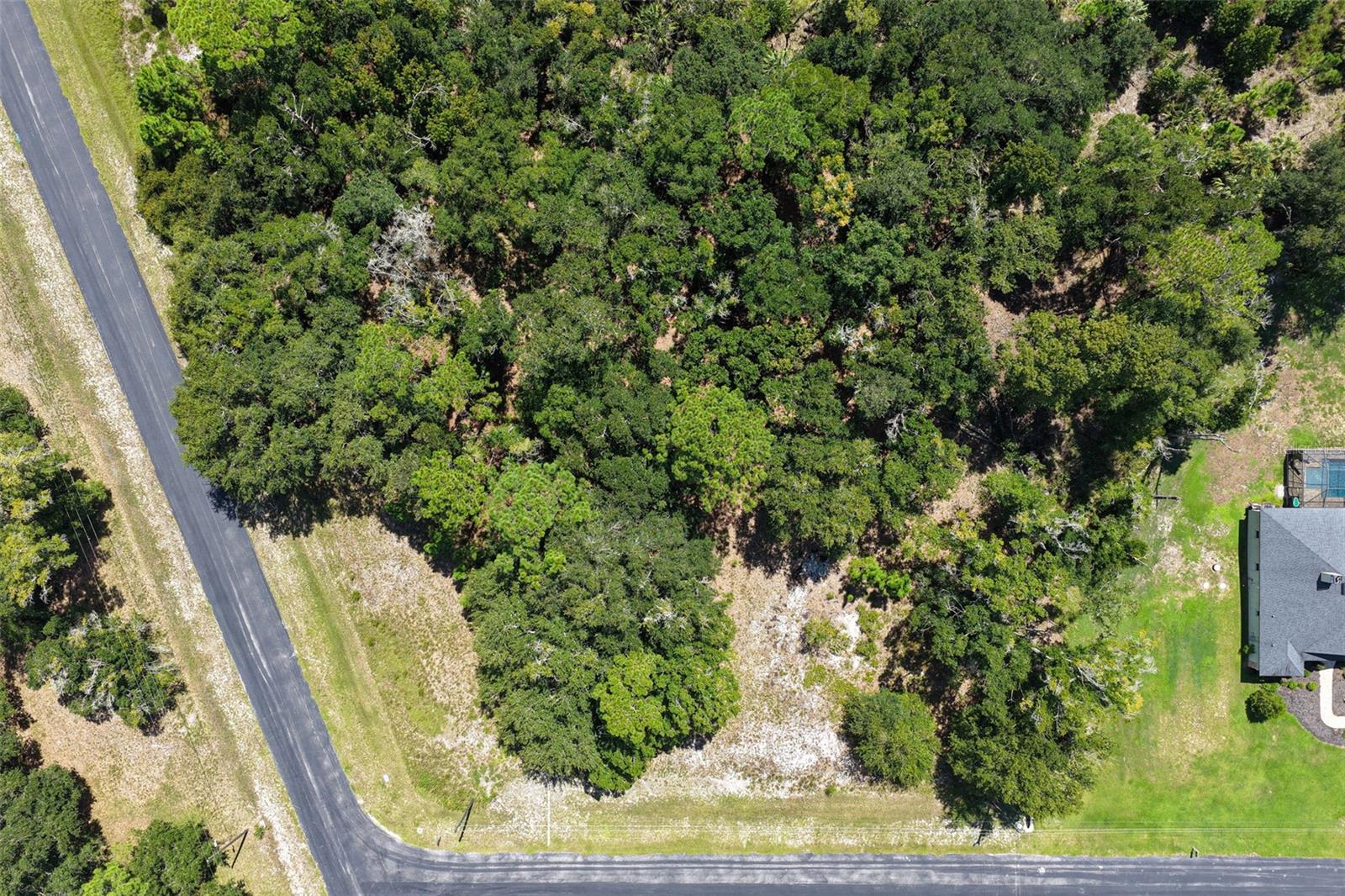 8541 WOODLEAF BLVD — photo 8