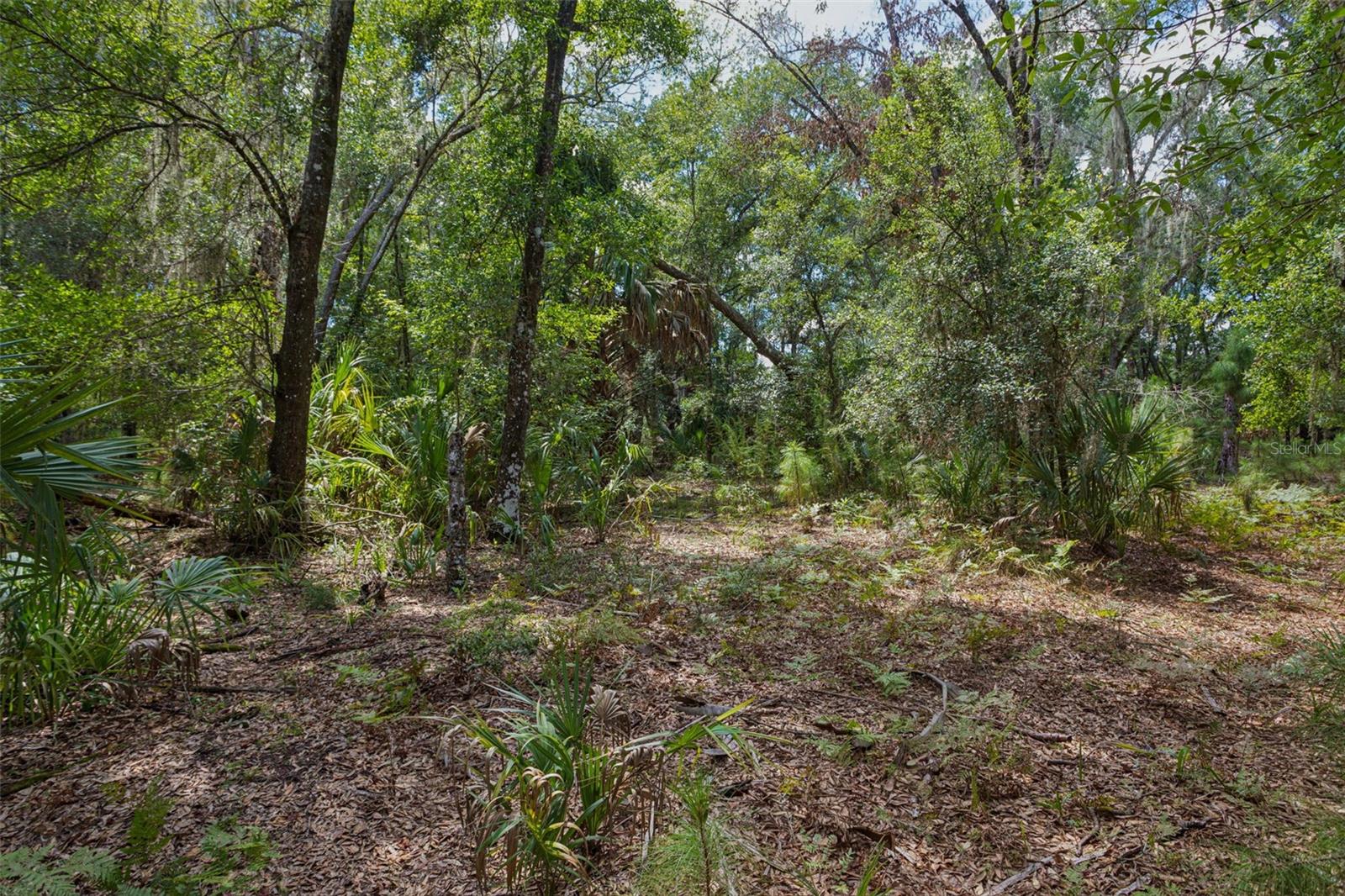 8541 WOODLEAF BLVD — photo 15