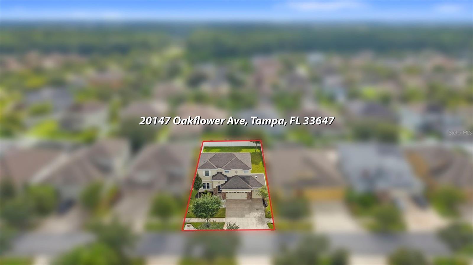 20147 OAKFLOWER AVE — photo 47