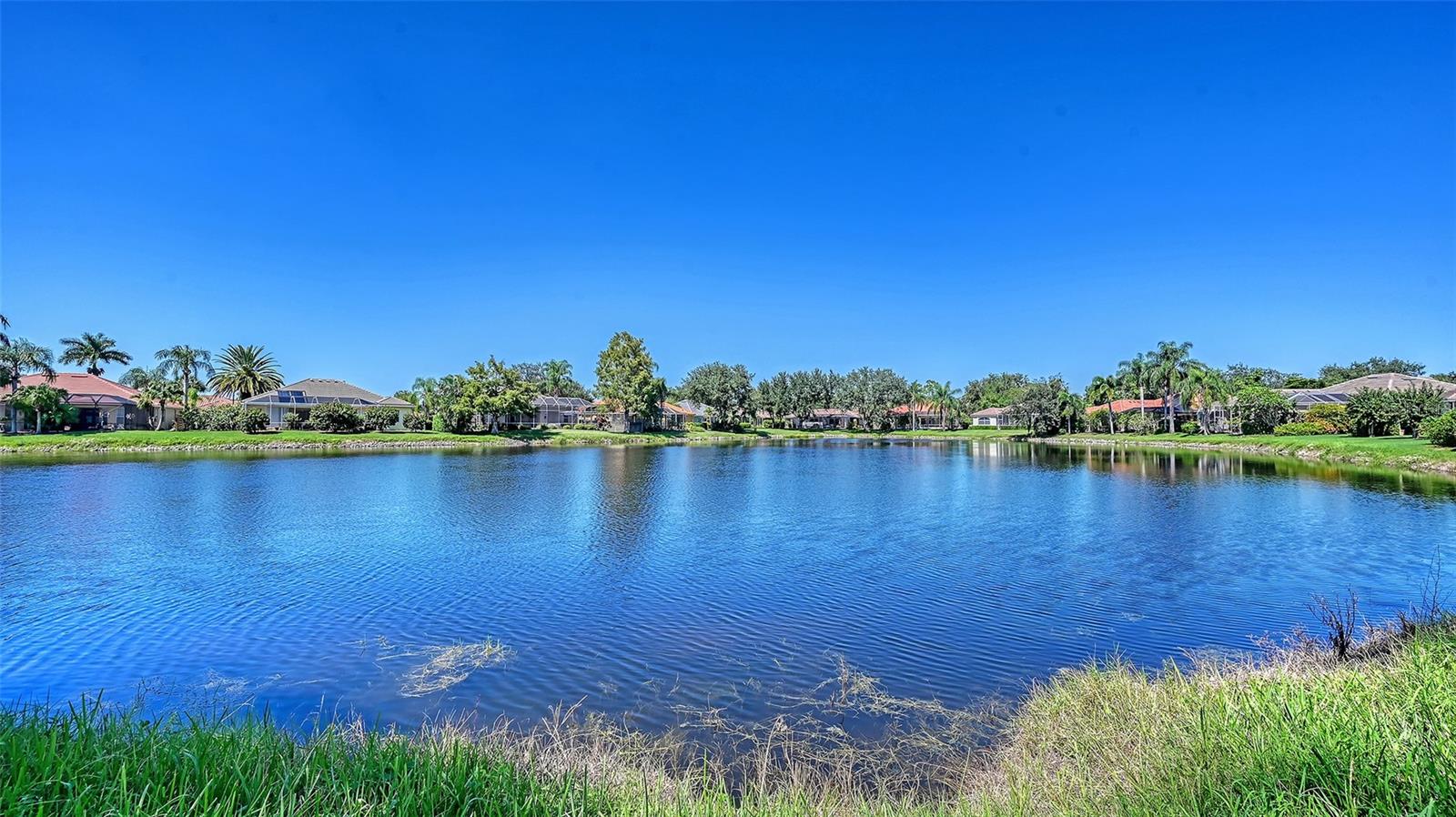 335 PARK TRACE BLVD — photo 5