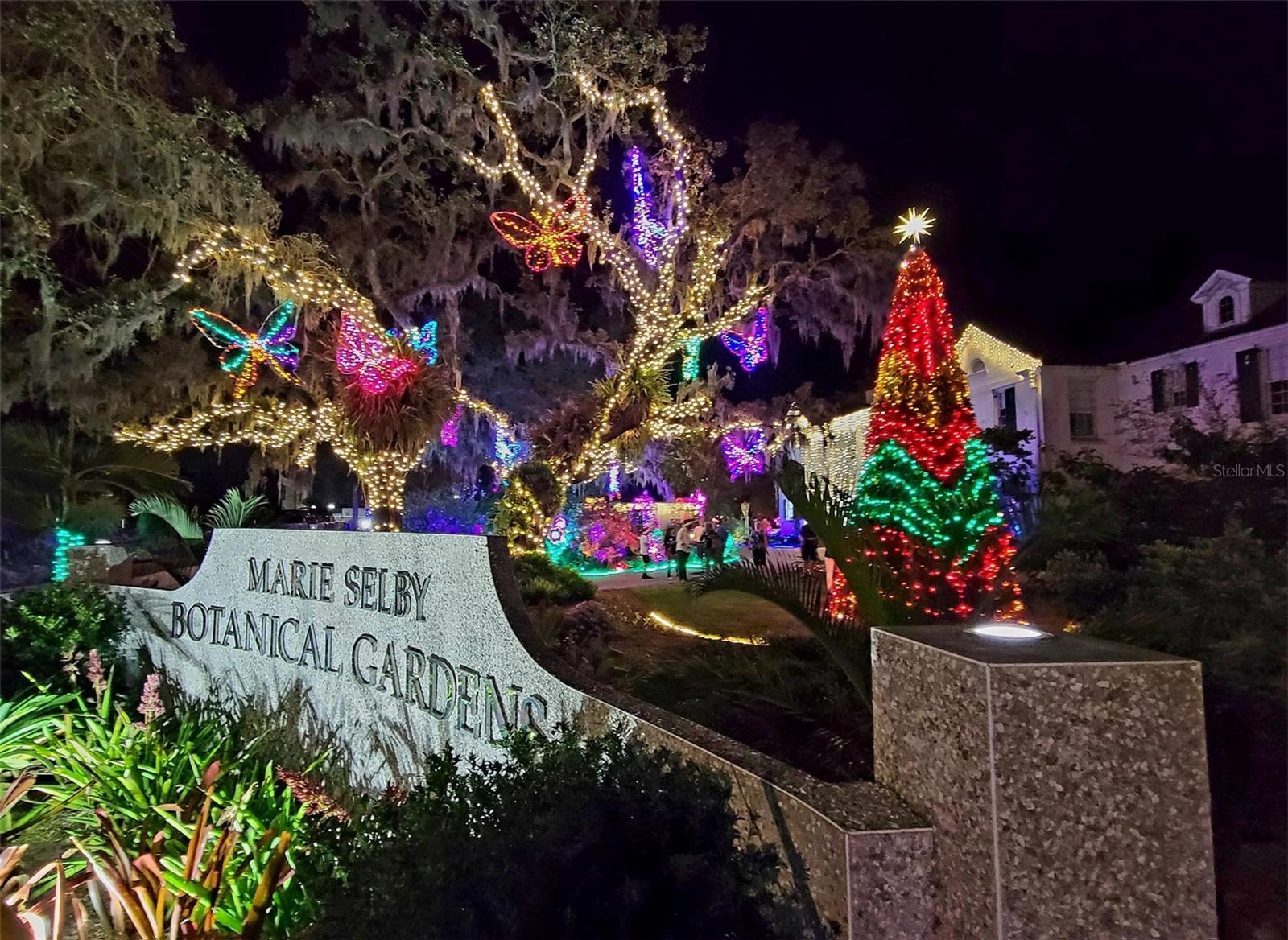 2400 EZZELL CT — photo 41