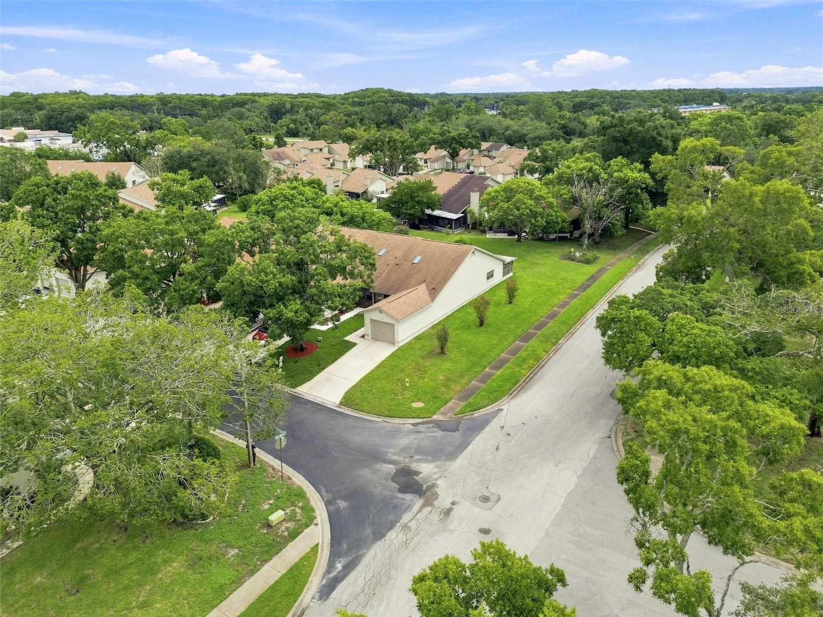 11712 SPRING TREE LN — photo 63