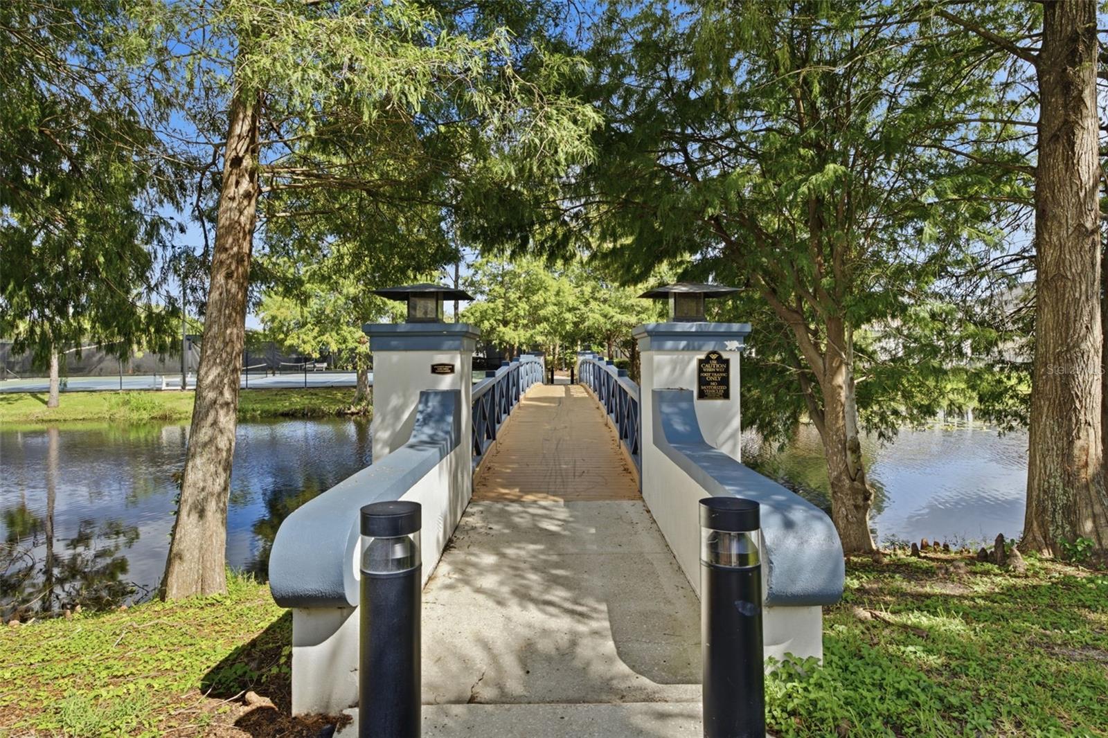 10438 GREEN LINKS DR — photo 45