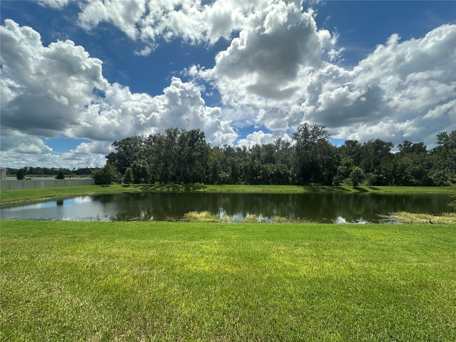 26128 FANTASY SKY LN — photo 38