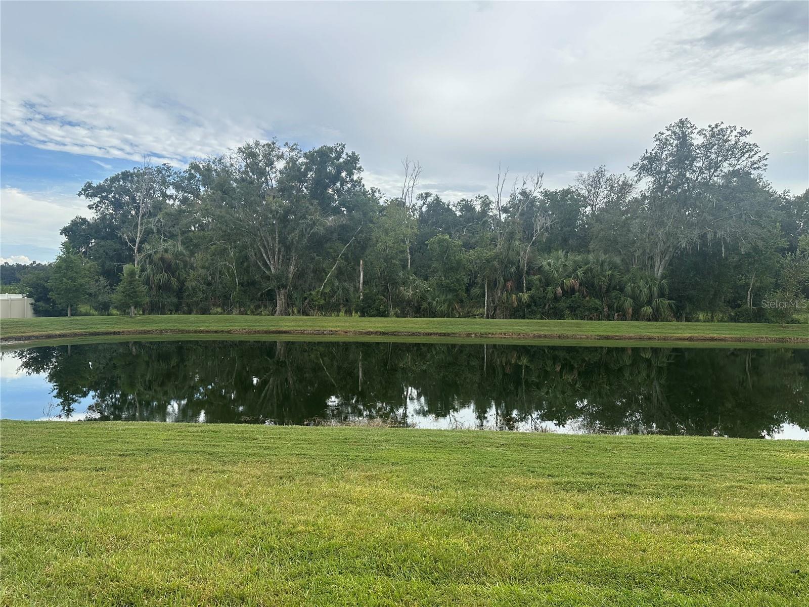 26128 FANTASY SKY LN — photo 39