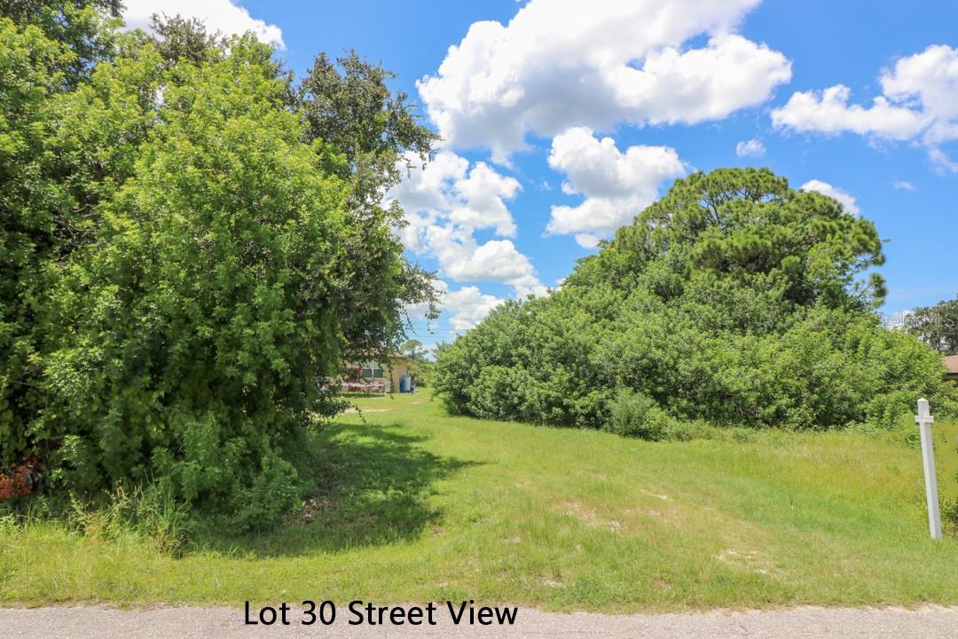 LOT 31 VENETIA AVE — photo 16